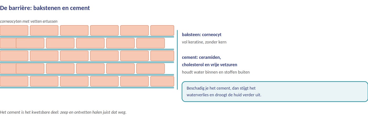 Bakstenen en cement