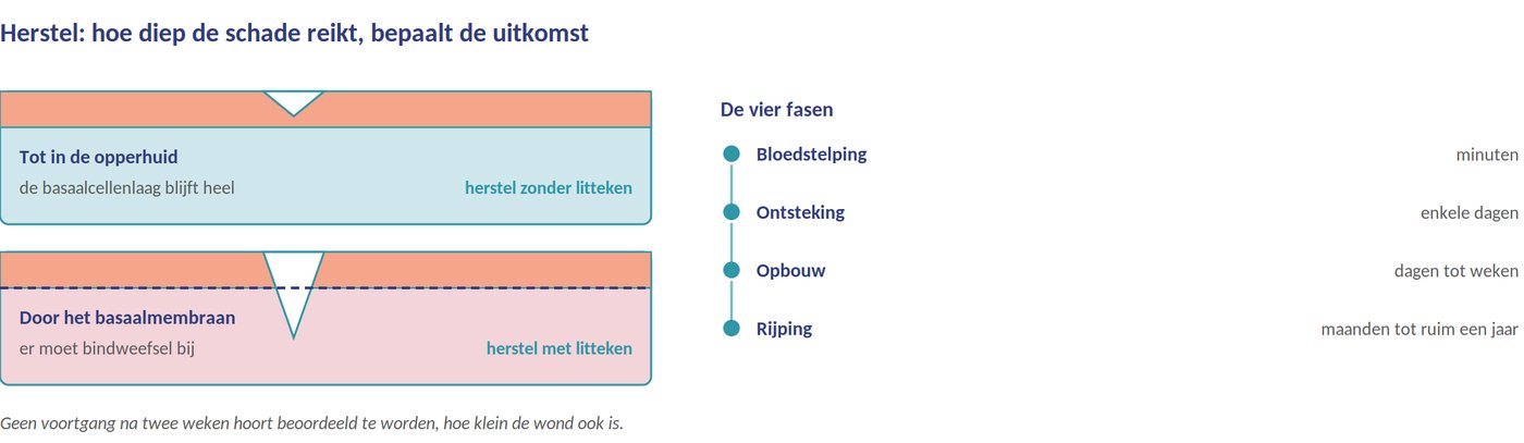 Herstel van de huid